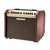 Fishman 60W Loudbox Mini BT Combo Amp