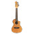 Ortega Mango Concert A/E Uke w/Bag