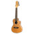 Ortega Mango Concert A/E Uke w/Bag