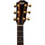 Taylor 224ce DLX Limited Edition Urban Ash Grand Auditorium Acoustic-Electric Guitar