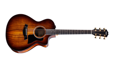 レキントギター Palmer MARINA-Nさ taylor-222ce-k-dlx-2204033402-