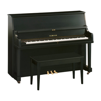 Yamaha_P22DSE_45_Professional_