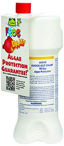 FROG BAM 90 Day Algae Preventative Shop Central Jersey Pools Store