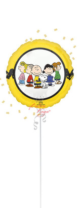 Anagram International Inc Peanuts 