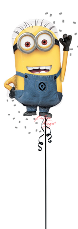 Anagram International Inc Despicable Me Minion -NJ