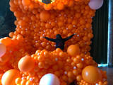 Organic Balloon Wall!!! 