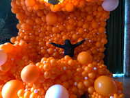 Organic Balloon Wall!!! 