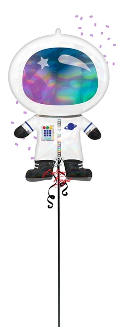 Anagram International Inc Iridescent Astronaut -CD 