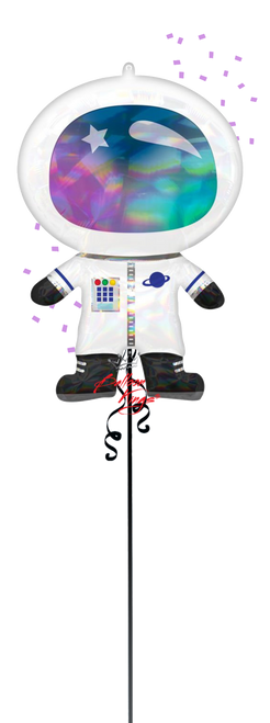 Anagram International Inc Iridescent Astronaut