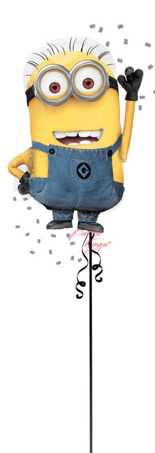 Anagram International Inc Despicable Me Minion -NJ 