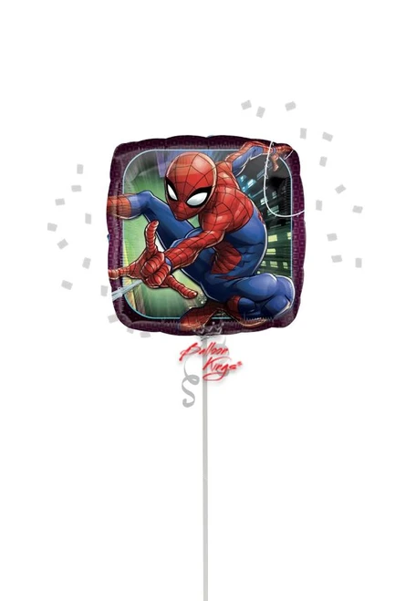 Anagram International Inc Small Spiderman Animated -NJ 