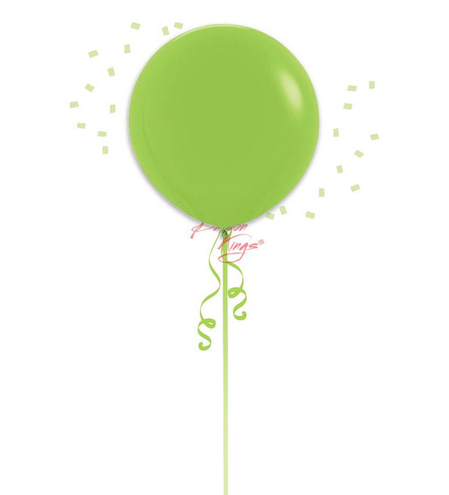 Sempertex 24in Standard Key Lime Green -NJ  Sempertex 24in Standard Key Lime Green -NJ