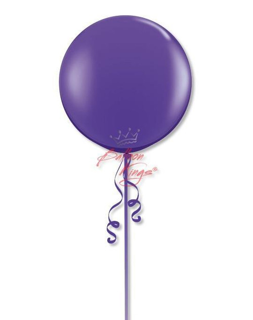 Sempertex 24in Standard Purple -HOU 