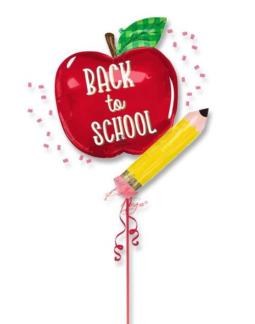 Anagram International Inc Back To School Apple -HOU 