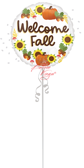 Anagram International Inc Welcome Fall