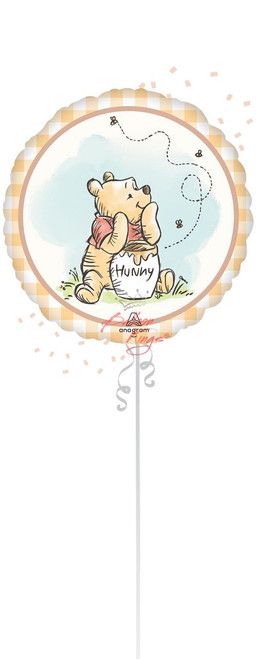 Anagram International Inc Cartoon Winnie the Pooh -HOU 