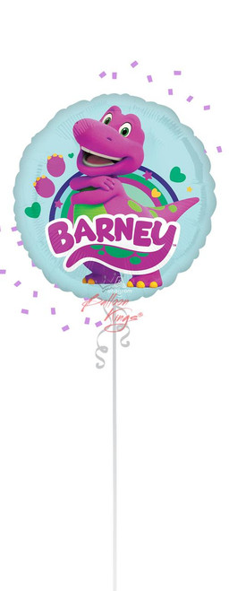 Anagram International Inc Small Barney -NJ 