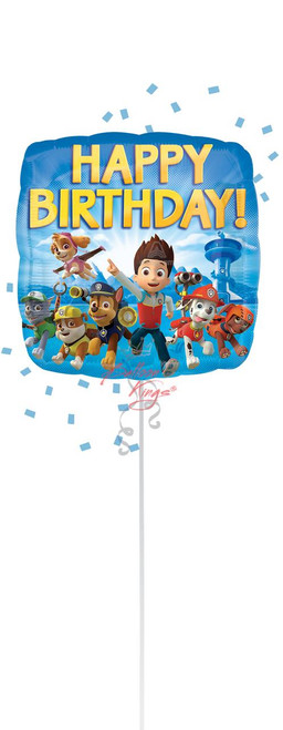 Anagram International Inc Hb Paw Patrol -HOU 