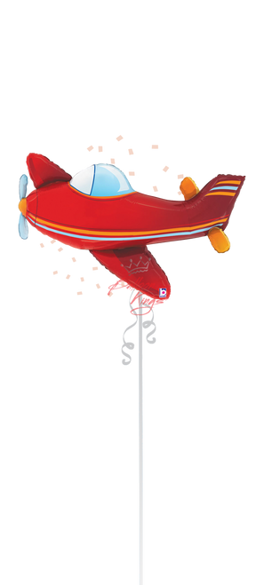 Betallic LLC Airplane