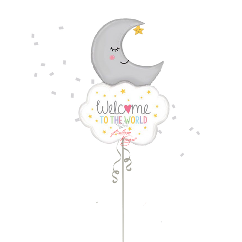 Betallic LLC Welcome To The World Baby Moon