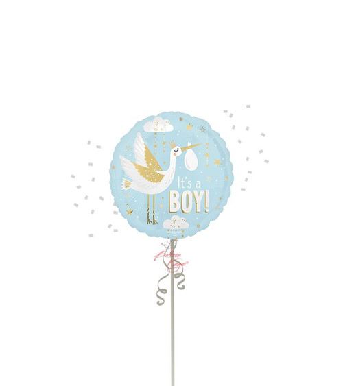 Anagram International Inc Sm Special Delivery Baby Boy - HOU 