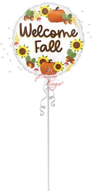 Anagram International Inc Welcome Fall - NJ 