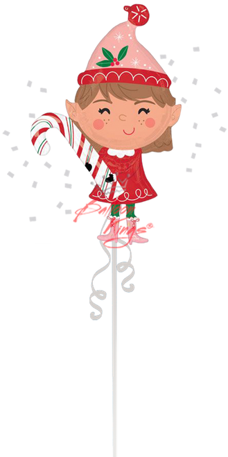 Anagram International Inc Christmas Elf