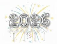 Betallic LLC 2026 SILVER SET 