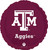 Anagram International Inc Collegiate Texas A&M Round Balloon -CD 