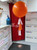 Sempertex 36in Standard Orange -CD 