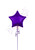 Anagram International Inc Purple Star -CD 