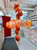 Anagram International Inc Umbrella 26 Balloons -NJ 