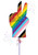 Anagram International Inc Celebrate Pride 