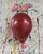 Sempertex 11in Standard Merlot Balloon 
