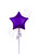 Anagram International Inc Purple Star -HOU 