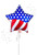 Anagram International Inc American Flag Star -CD 
