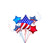 Anagram International Inc Patriotic Stars Bouquet 