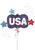Anagram International Inc Patriotic USA Burst 