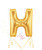 Betallic LLC Gold Letter H -HOU 