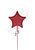 Anagram International Inc Burgundy Star 