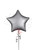 Anagram International Inc Satin Luxe Platinum Star 