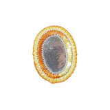 Mirror Oval Orange Mirror Oval Orange