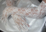 Bridal Lace Gloves 21" 53cm White Stretch  - 1 Pair