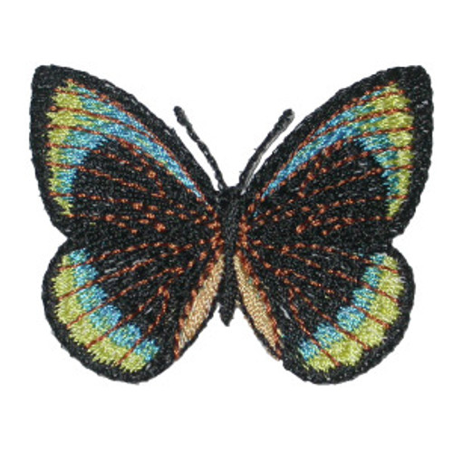 Butterfly Black Blue Yellow