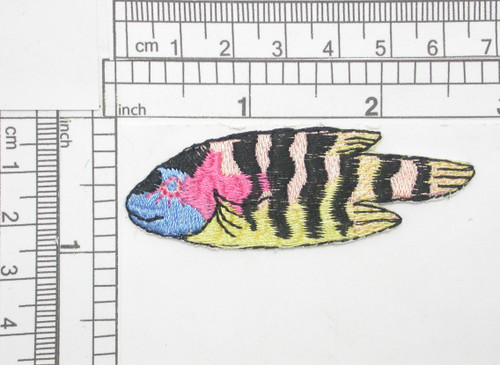 Tropical Fish Black Striped Iron On Patch Applique

Fully Embroidered 

Measures 3/4" high x 2 1/2" wide approximately