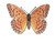 Butterfly 2 5/8" Brown