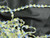 Venice Lace Daisy 1/2" Blue White & Yellow 10 Yards