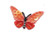 Butterfly Sequined 1 1/2" Orange