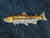 Rainbow Trout Embroidered iron On patch
Fully Embroidered

Measures 3 3/4" across x 1 1/4" high