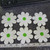6  x White & Green Daisy 3" 75mm Embroidered Iron On Applique